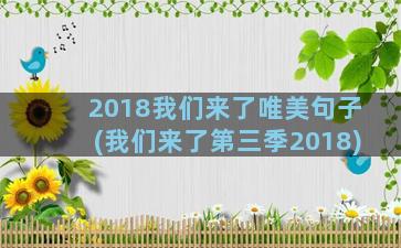 2018我们来了唯美句子(我们来了第三季2018)