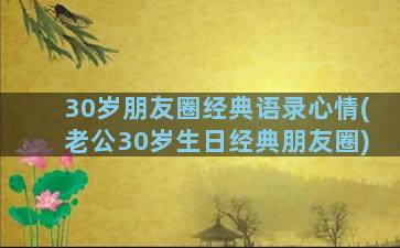 30岁朋友圈经典语录心情(老公30岁生日经典朋友圈)