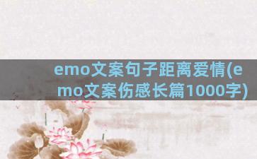 emo文案句子距离爱情(emo文案伤感长篇1000字)