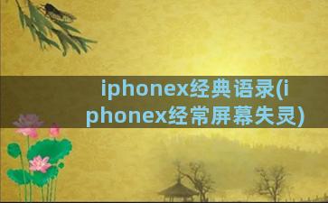 iphonex经典语录(iphonex经常屏幕失灵)