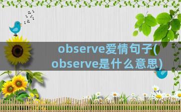 observe爱情句子(observe是什么意思)