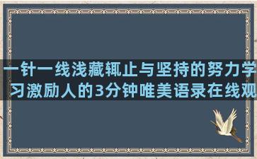 一针一线浅藏辄止与坚持的努力学习激励人的3分钟唯美语录在线观看