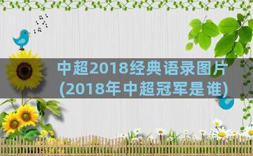 中超2018经典语录图片(2018年中超冠军是谁)