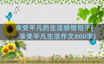 享受平凡的生活感悟句子(享受平凡生活作文800字)