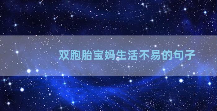 双胞胎宝妈生活不易的句子