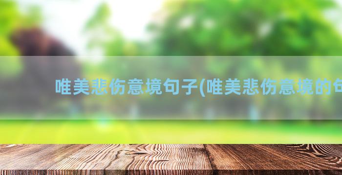 唯美悲伤意境句子(唯美悲伤意境的句子)