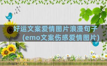 好运文案爱情图片浪漫句子(emo文案伤感爱情图片)