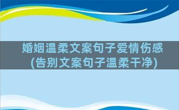 婚姻温柔文案句子爱情伤感(告别文案句子温柔干净)