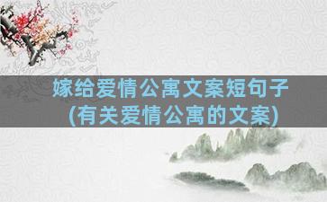 嫁给爱情公寓文案短句子(有关爱情公寓的文案)