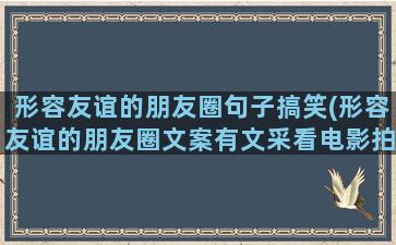 形容友谊的朋友圈句子搞笑(形容友谊的朋友圈文案有文采看电影拍照片的)