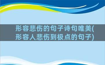 形容悲伤的句子诗句唯美(形容人悲伤到极点的句子)