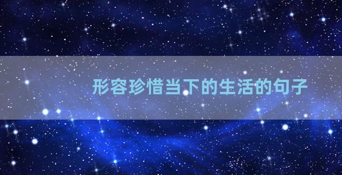 形容珍惜当下的生活的句子