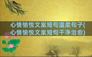 心情愉悦文案短句温柔句子(心情愉悦文案短句干净治愈)