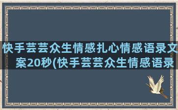 快手芸芸众生情感扎心情感语录文案20秒(快手芸芸众生情感语录)