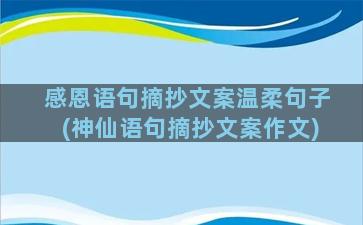 感恩语句摘抄文案温柔句子(神仙语句摘抄文案作文)