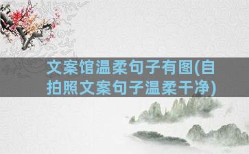 文案馆温柔句子有图(自拍照文案句子温柔干净)