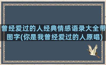 曾经爱过的人经典情感语录大全带图字(你是我曾经爱过的人原唱)