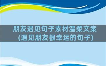 朋友遇见句子素材温柔文案(遇见朋友很幸运的句子)