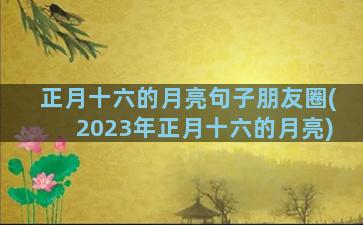 正月十六的月亮句子朋友圈(2023年正月十六的月亮)