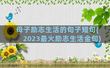 母子励志生活的句子短句(2023最火励志生活金句)