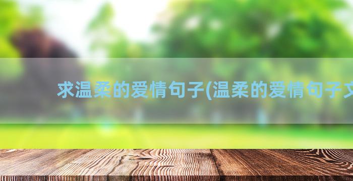 求温柔的爱情句子(温柔的爱情句子文案)