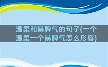 温柔和暴脾气的句子(一个温柔一个暴脾气怎么形容)