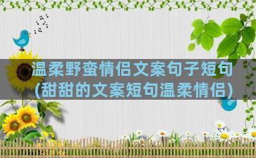 温柔野蛮情侣文案句子短句(甜甜的文案短句温柔情侣)