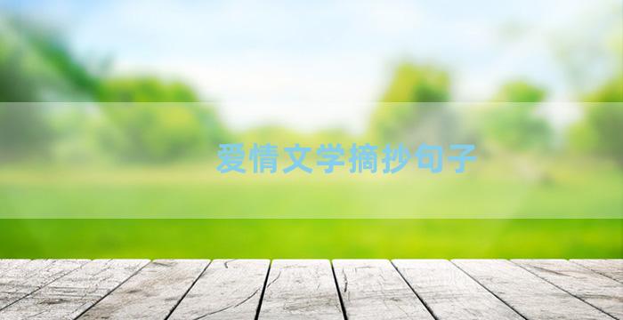 爱情文学摘抄句子