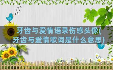 牙齿与爱情语录伤感头像(牙齿与爱情歌词是什么意思)