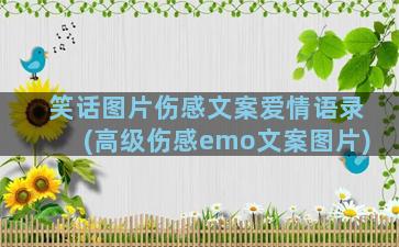 笑话图片伤感文案爱情语录(高级伤感emo文案图片)