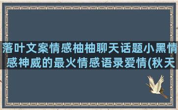 落叶文案情感柚柚聊天话题小黑情感神威的最火情感语录爱情(秋天落叶情感文案)