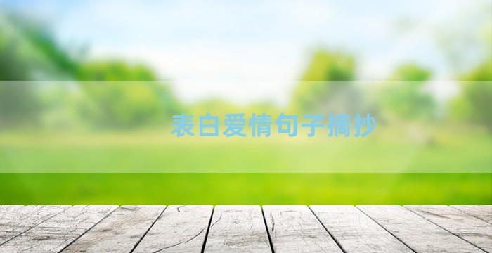 表白爱情句子摘抄