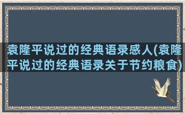 袁隆平说过的经典语录感人(袁隆平说过的经典语录关于节约粮食)