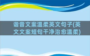 谐音文案温柔英文句子(英文文案短句干净治愈温柔)