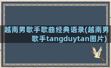 越南男歌手歌曲经典语录(越南男歌手tangduytan图片)