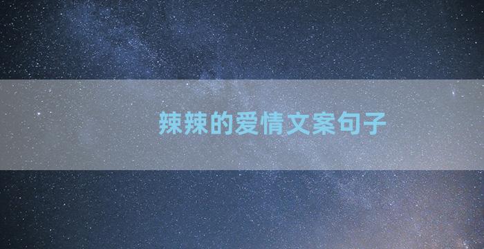 辣辣的爱情文案句子