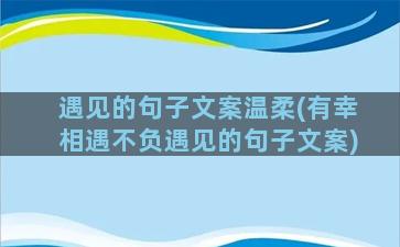 遇见的句子文案温柔(有幸相遇不负遇见的句子文案)