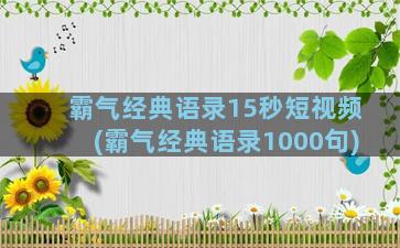 霸气经典语录15秒短视频(霸气经典语录1000句)