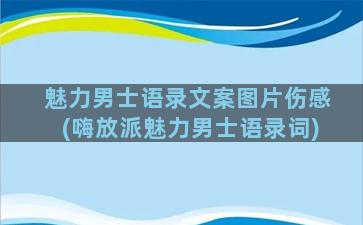 魅力男士语录文案图片伤感(嗨放派魅力男士语录词)